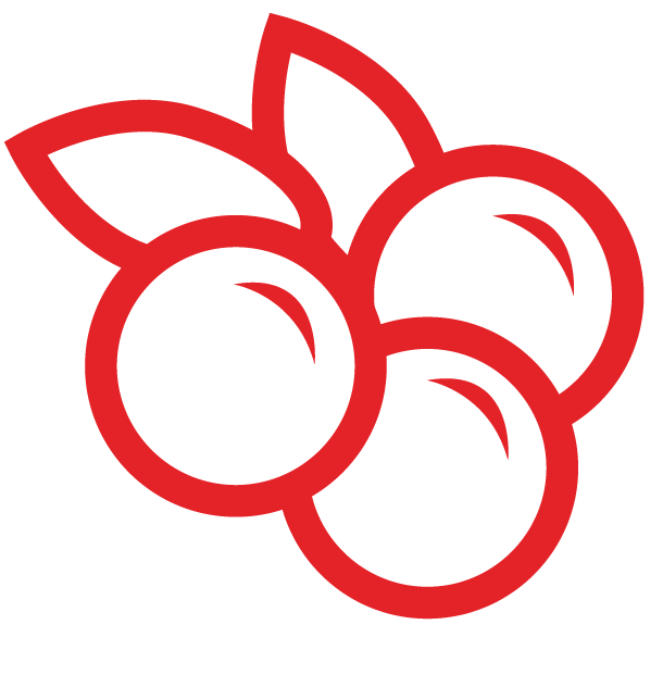 Lingon Mobil logotyp